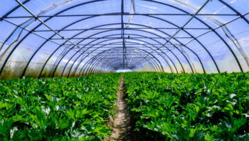 Innovación en plasticos agricolas Ginegar Iberica