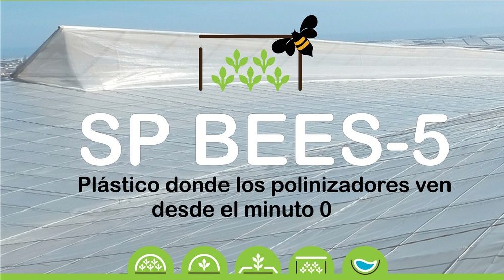 SP BEES-5, el plástico con el que los polinizadores ven desde el minuto cero