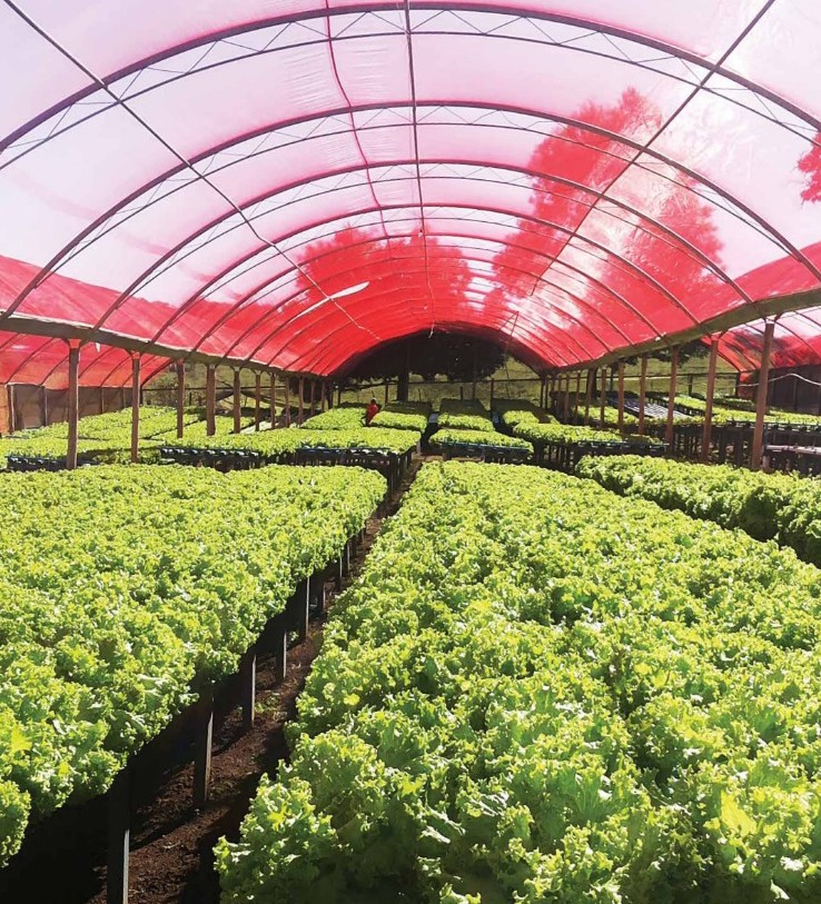 Ginegar, innovación tecnológica y excelencia operativa.